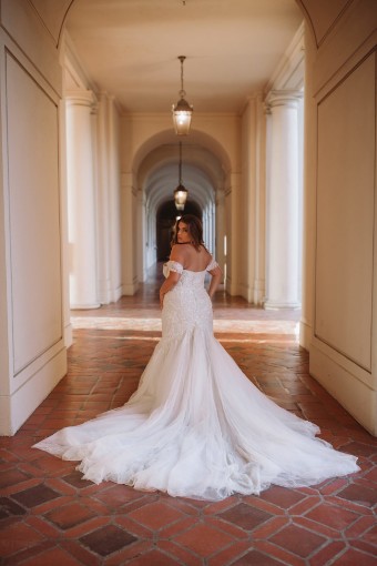 Essense of Australia Style D3371IV11 #2 (IC-IV) Ivory Lace & Champagne Silver Shimmer Tulle ov Ivory Gown thumbnail