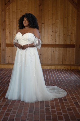 Essense of Australia Style D3529IV15 #7 (IV-IV) Ivory Lace Tulle and Regal Organza over Ivory Gown thumbnail