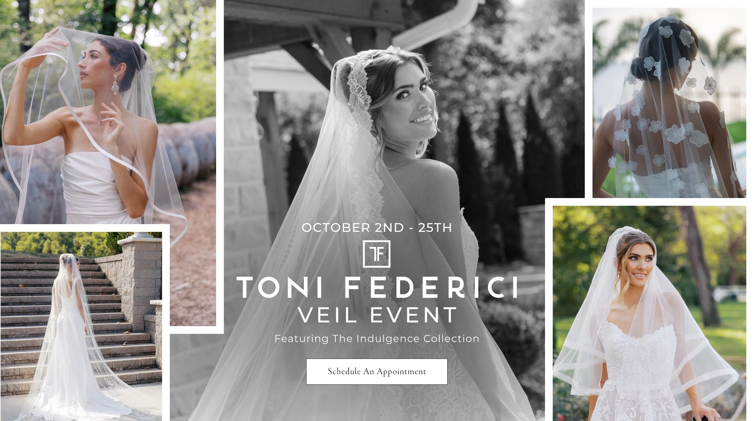 Toni Federici Desktop Banner